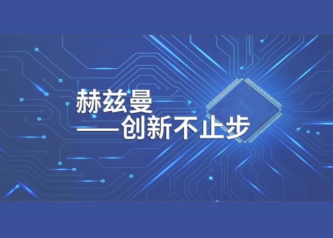 XGN99真空高壓開(kāi)關(guān)柜「赫茲曼電力」 XGN99真空高壓開(kāi)關(guān)柜「赫茲曼電力」